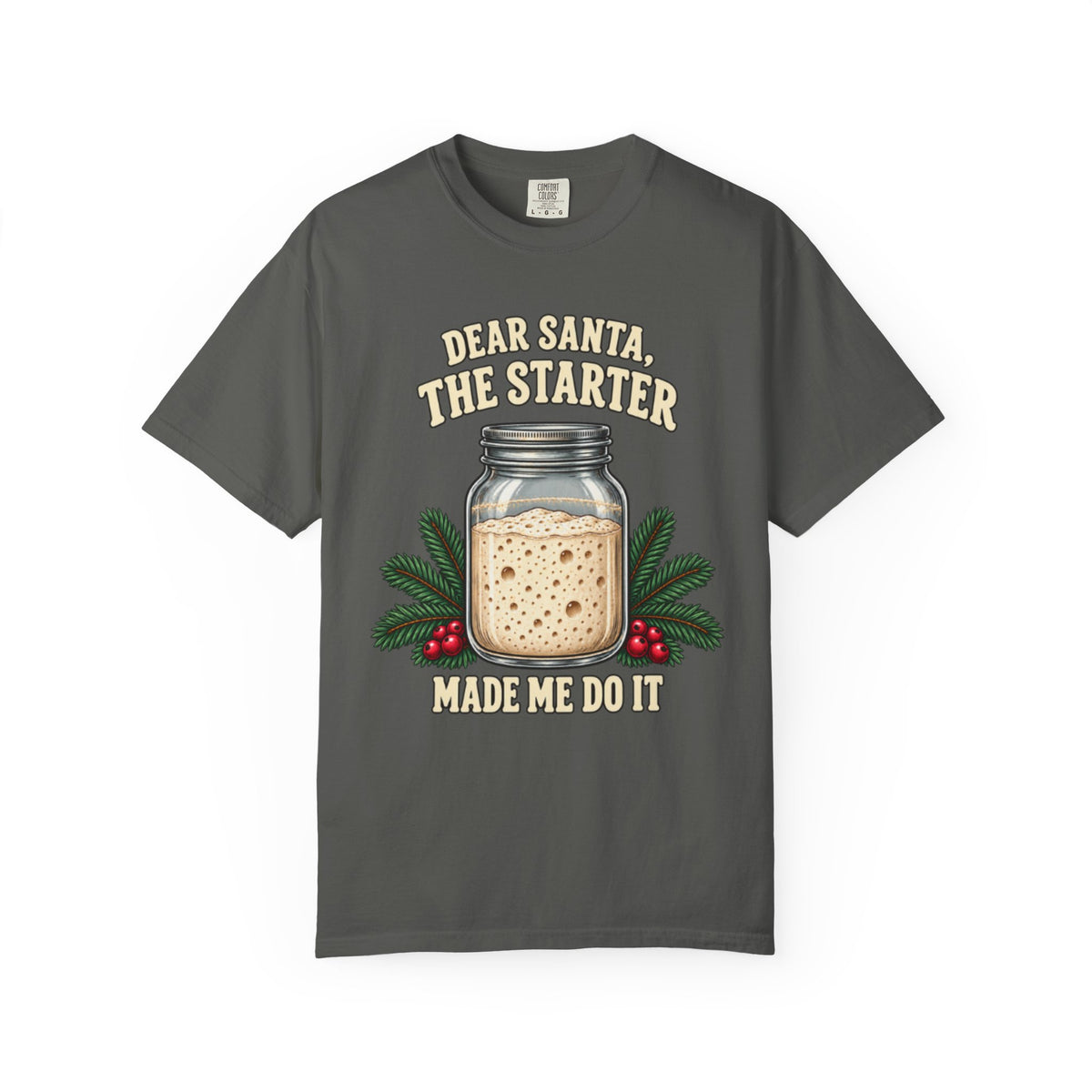 Dear Santa, The Starter Made Me Do It