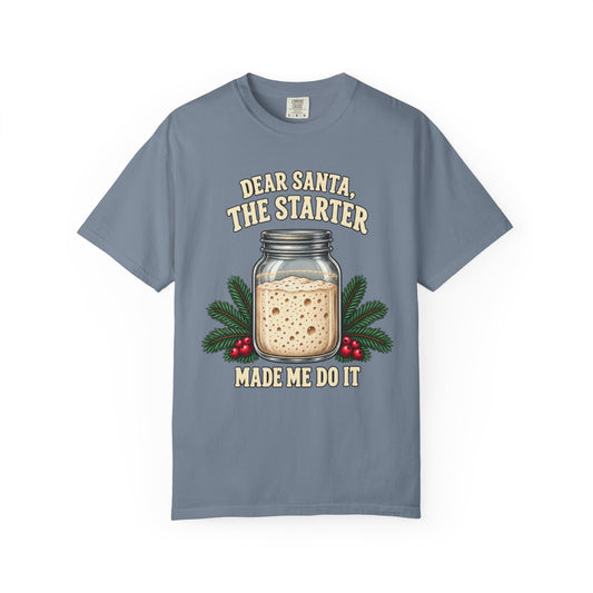 Dear Santa, The Starter Made Me Do It